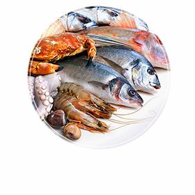 Fish & SeaFood