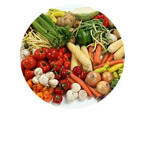 Vegetable 