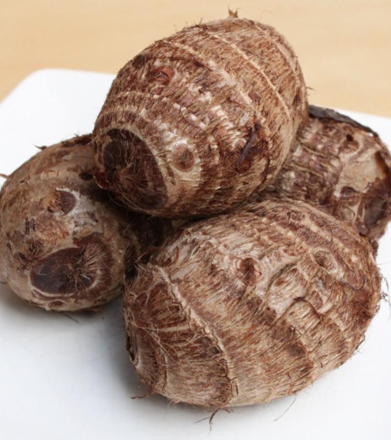 Colocasia (Loose)