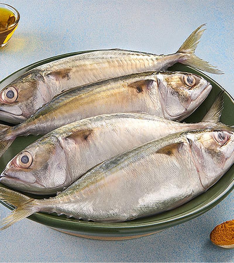 Mackerel/Ayala (Medium) (5-10 Count) 500g