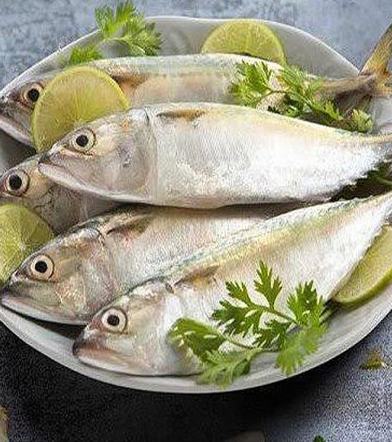 Mackerel/Ayala (Medium) (5-10 Count) 500g