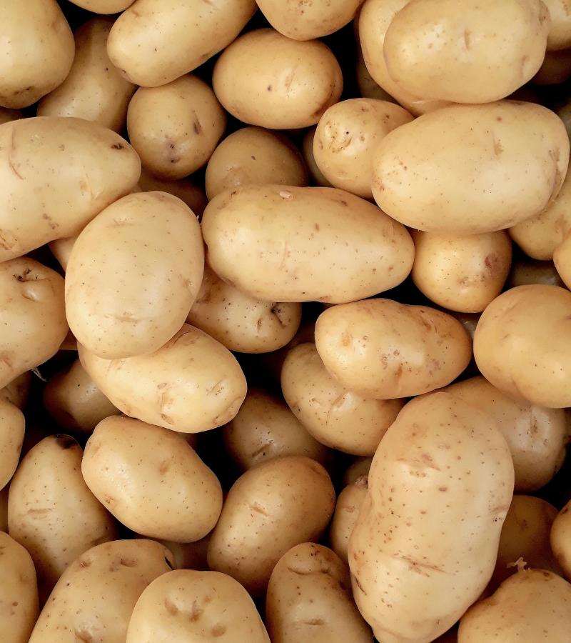 Potato - Organically Grown (Loose)