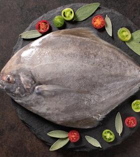 Black Pomfret / Avoli (medium) 500g thumbnail