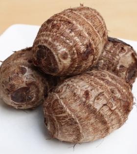 Colocasia (Loose)