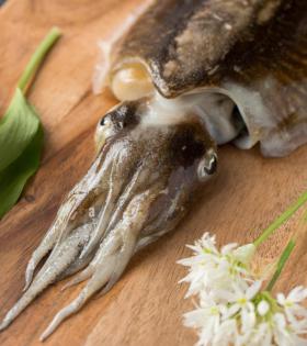 Cuttle Fish 500g