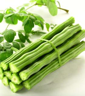 Drumstick/Moringa