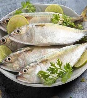 Mackerel/Ayala (Medium) (5-10 Count) 500g thumbnail