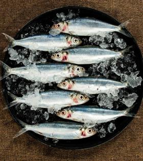 Sardine/Mathi/Chala 500g