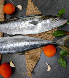 Seer Fish / Neymeen