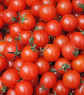 Tomato - (Local)