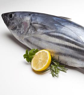 Tuna/Choora 500g