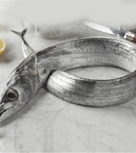 Vala / Ribbon Fish thumbnail